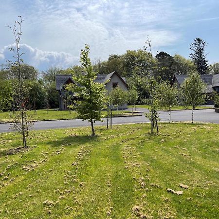 No 2 Ardnagashel Woods Ballylickey Exterior foto